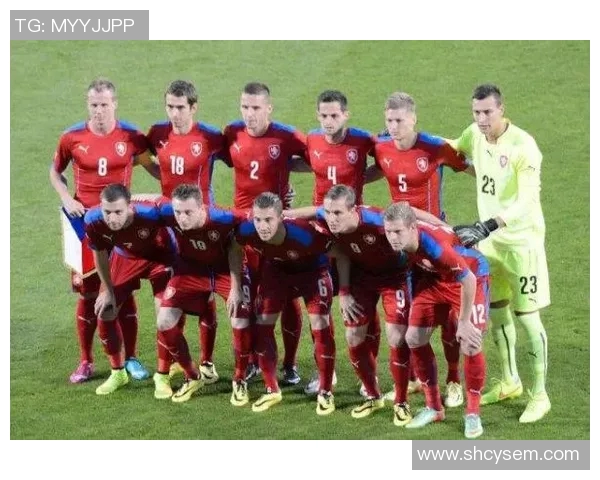 石家庄对阵深圳足球赛前瞻分析及胜负预测指南