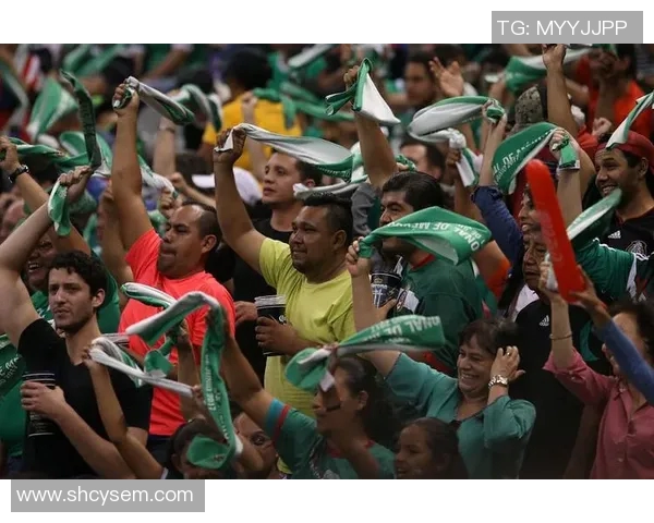 阿根廷与塞尔维亚2006年世界杯经典对决回顾与分析 阿根廷与塞尔维亚2006年世界杯经典对决回顾与分析