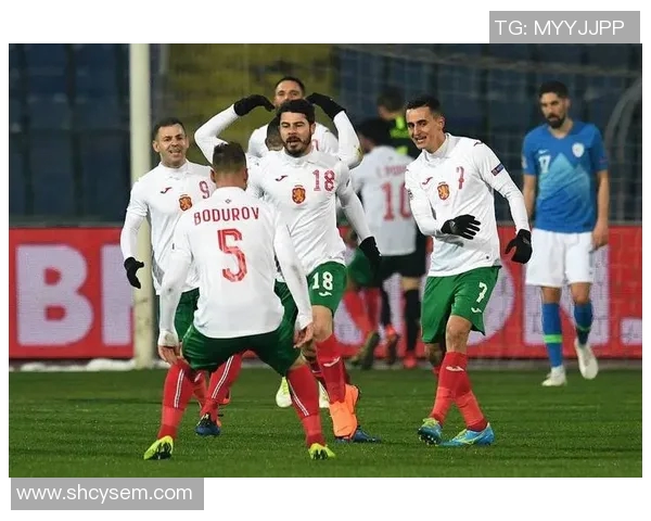 荷兰与保加利亚世预赛精彩对决分析与赛后点评 荷兰与保加利亚世预赛精彩对决分析与赛后点评