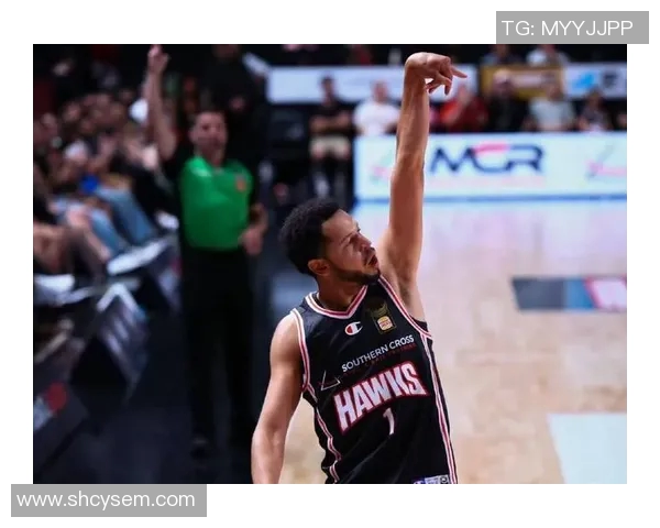 布鲁克洛佩斯：从篮下巨兽到全能球员的华丽转身