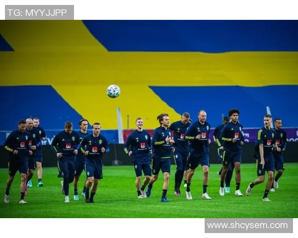 法国与瑞典在欧洲杯的激烈对决回顾与分析