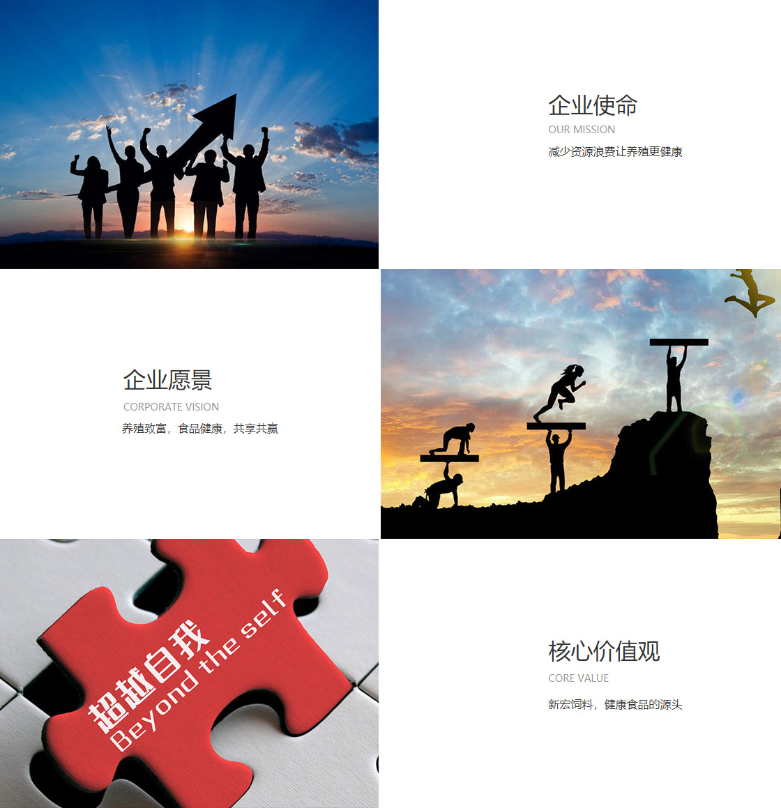 乐竞体育·(LEJING)企业文化(图1)