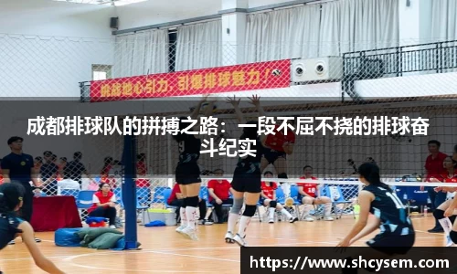 成都排球队的拼搏之路：一段不屈不挠的排球奋斗纪实