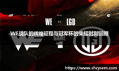 WE战队的辉煌征程与冠军杯的荣耀时刻回顾