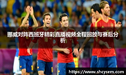 挪威对阵西班牙精彩直播视频全程回放与赛后分析