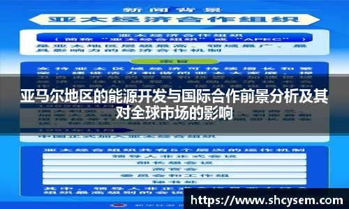 亚马尔地区的能源开发与国际合作前景分析及其对全球市场的影响