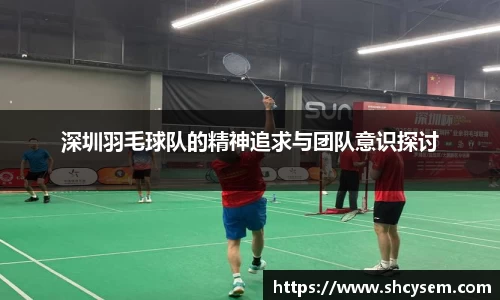 深圳羽毛球队的精神追求与团队意识探讨