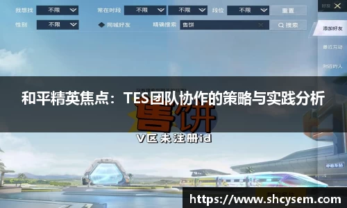 和平精英焦点：TES团队协作的策略与实践分析